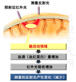 http://cn.nikkei.com/images/2014/11/1126/1126-A4-2-m.jpg